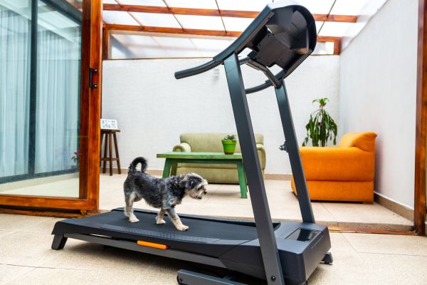 Cost of Treadmill Installation in Vancouver