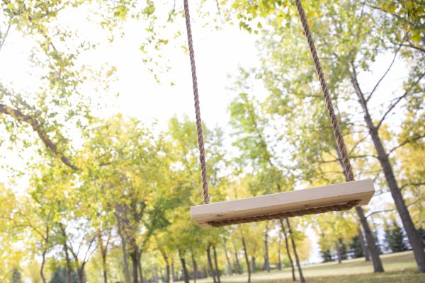Cost of Tree Swing Installation in Vancouver