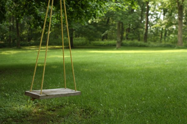 Cost of Rope Swing Installation in Vancouver