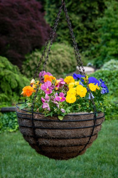 Cost of Hanging Basket Installation in Vancouver