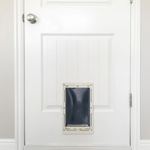 Cost of Pet Door Repair in Vancouver