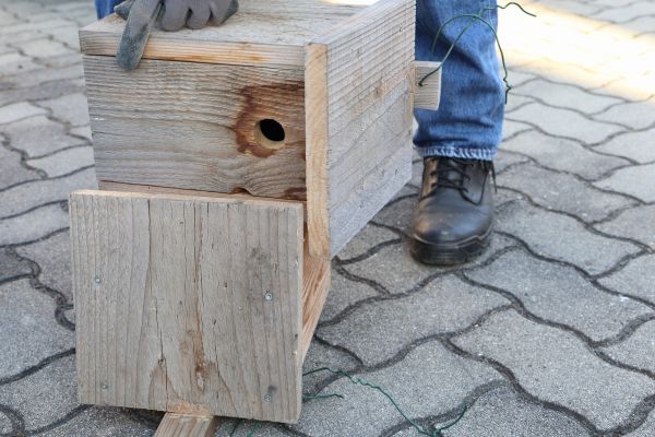 Cost of Birdhouse Mounting in Vancouver