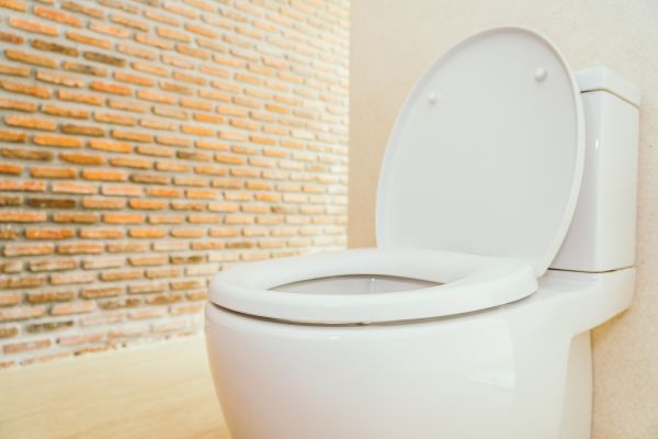 Cost of Toilet Seat Repair in Vancouver